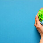 ISO 14001:2026, Implementación de un Sistema de Gestión Ambiental