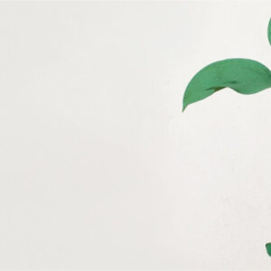 ISO 14001:2015, Implementación de un Sistema de Gestión Ambiental