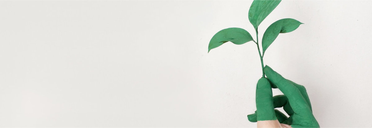 ISO 14001:2015, Implementación de un Sistema de Gestión Ambiental